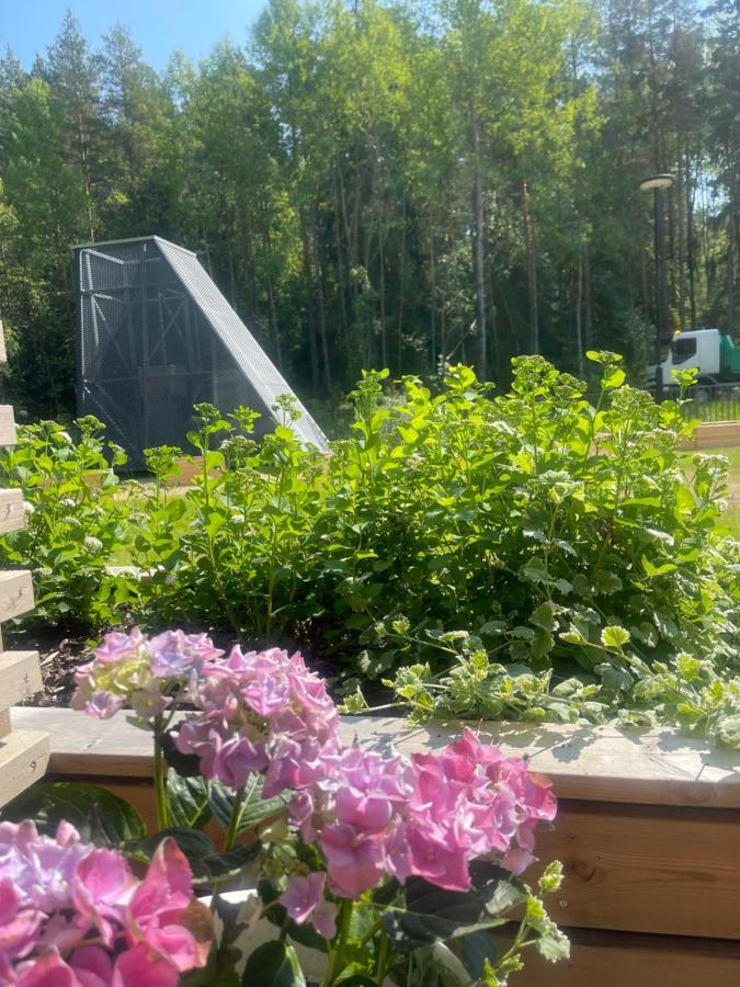 Haalia Homes Turku Paeaeskynpesae Exteriér fotografie