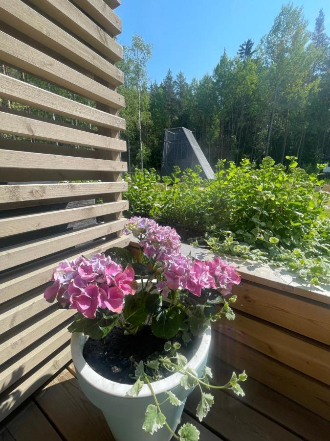 Haalia Homes Turku Paeaeskynpesae Exteriér fotografie
